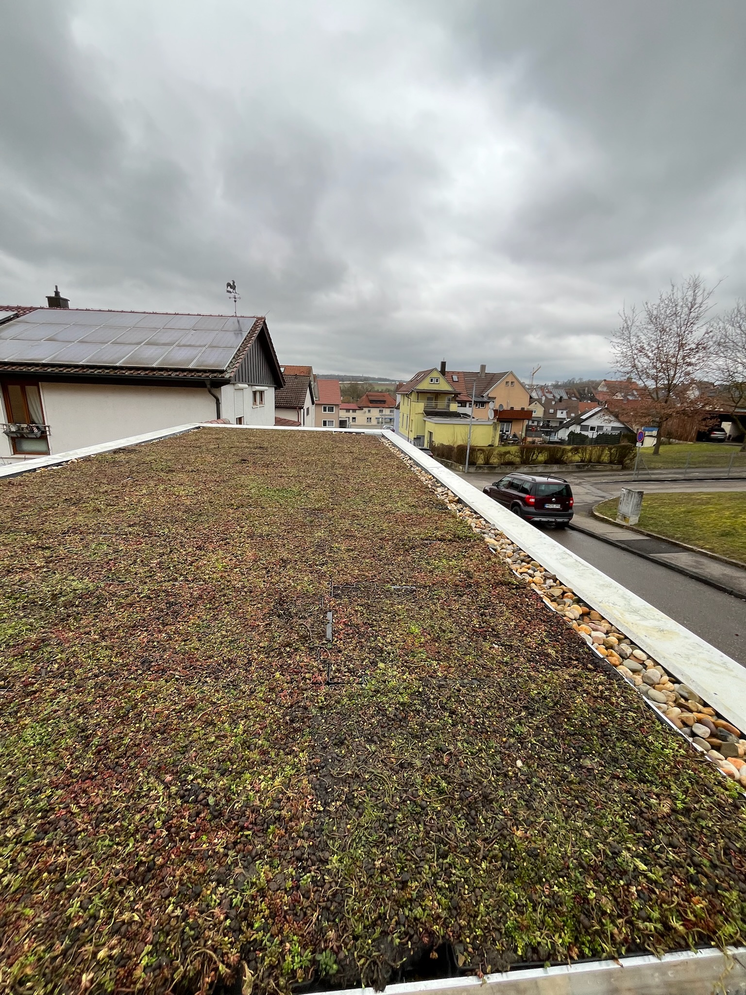 Dach- & Fassadenbegrünungen durch Eppinger Gartenbau